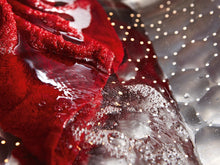 Load image into Gallery viewer, Miele WTD160 WCS 8/4 kg