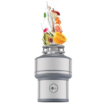 Load image into Gallery viewer, ISE Evolution 200
Food Waste Disposer
